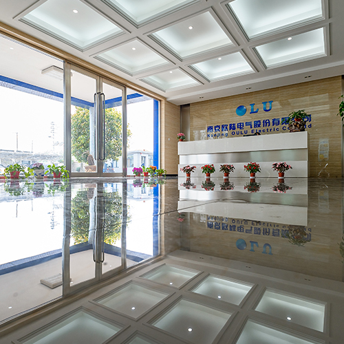 小型風(fēng)力發(fā)電機(jī)哪家買用得久？實(shí)力廠家南京歐陸電氣有話說